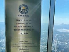 -平安金融中心云际观光层