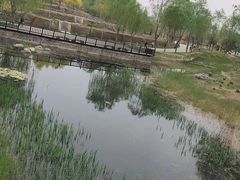 -北坞公园