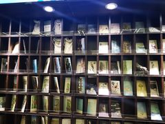 -新华书店(新街口旗舰店)