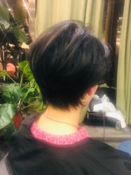 -V-STAR威斯达•高级私人定制