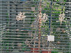 -广州神农草堂中医药博物馆