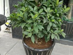 -韵道养生.足道.按摩.SPA(古美店)