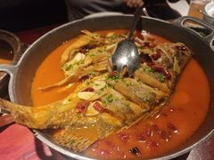 -潇湘甲鱼村(清河店)