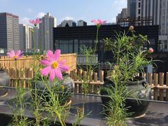 -瓦库茶馆17号(海汇港店)