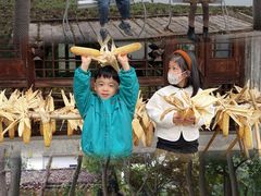 -乌村
