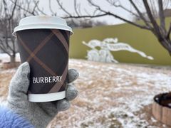 -BURBERRY(北京王府中环店)