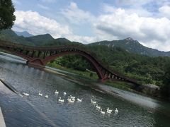 -绩溪龙川景区