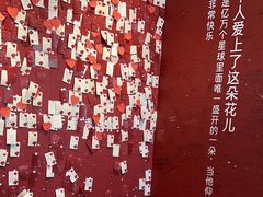 -爱情邮局