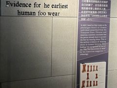 -北京周口店北京人遗址博物馆