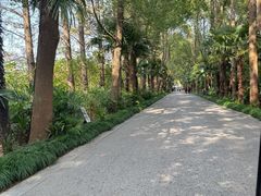 -同里国家湿地公园