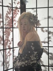 -WAVE SODA摄影工作室