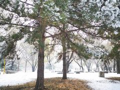 -望湖公园