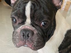 -爱诺耐芙动物医院(万博店)