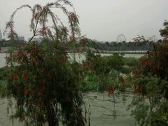 -南宁南湖公园