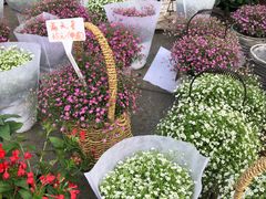 -重庆市江北嘴中央商务区中央公园