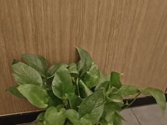 -耳湾躺式采耳SPA馆(保利五月花店)