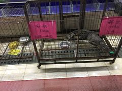 -海鲜城大家餐厅