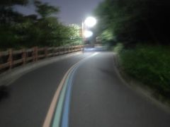 -杭州半山国家森林公园