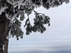 -大围山国家森林公园