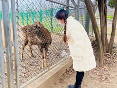 -西安秦岭野生动物园