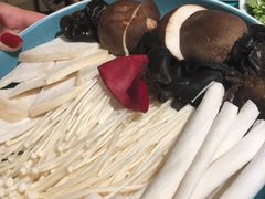 -青瓷火锅料理(西单大悦城店)