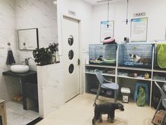 -萌兽医馆·宠物医院·猫骨科(创景店)