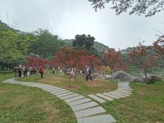 -广州市帽峰山景区