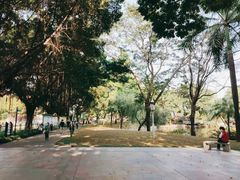 -晓港公园