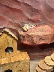 点击看大图 -Zoolung Zoolung动物主题公园(海信广场店)