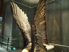 -青藏高原自然博物馆