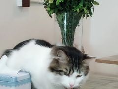 -小时光咖啡馆(北锣鼓巷店)