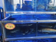 -八仔大富楼·河鲜(西江店)