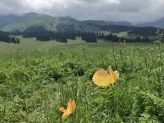 -新疆那拉提国家旅游度假区