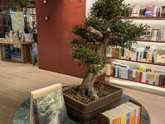 -二酉书店TOYOU BOOKS