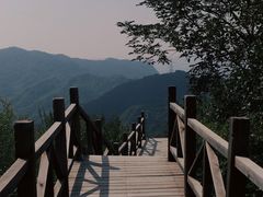 -大岭沟猕猴桃谷风景区