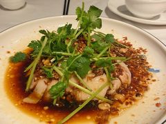 沙姜走地鸡-博多新记·粤菜(复兴店)