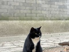 -颐和园