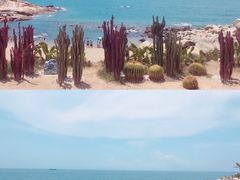 -广东惠东海龟国家级自然保护区