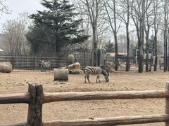 -大连森林动物园