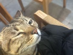 -栖咖啡(泉舜店)