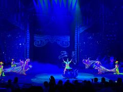 -珠海横琴长隆《卡卡虎奇遇记》