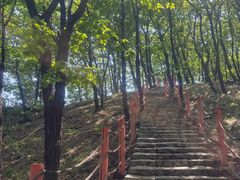 -长春莲花山滑雪场