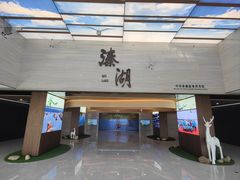 -溱湖国家湿地公园