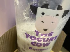 -一只酸奶牛(八一路店)