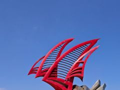 -日照世帆赛基地