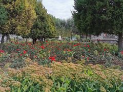 -张掖大佛寺景区