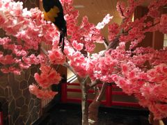 -蓝鲸湾汤泉(包河店)