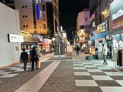 -宝健路步行街(Pedestrian Shopping Street)
