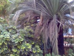 小径-绿色时代大酒店