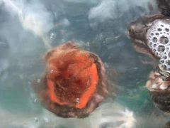 -常家活海鲜小吃(仅一家无分店)